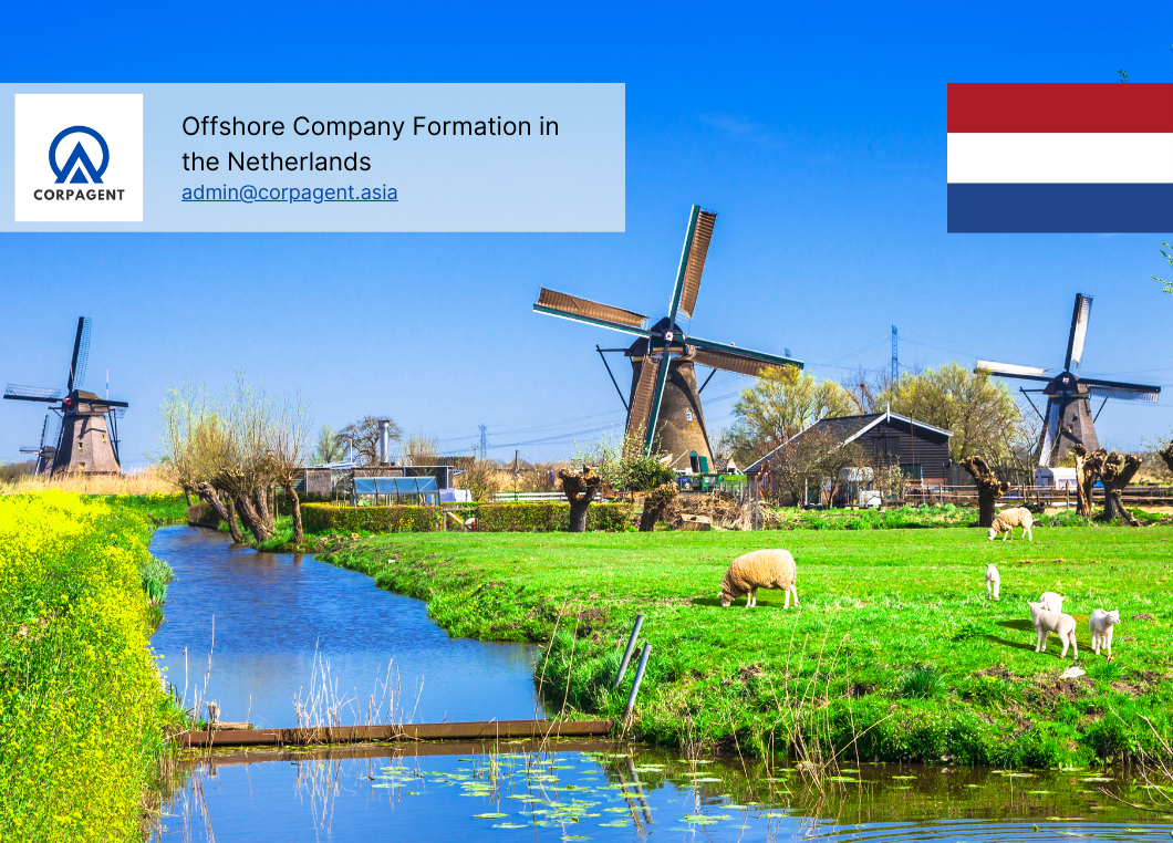 Company formation in Netherlands