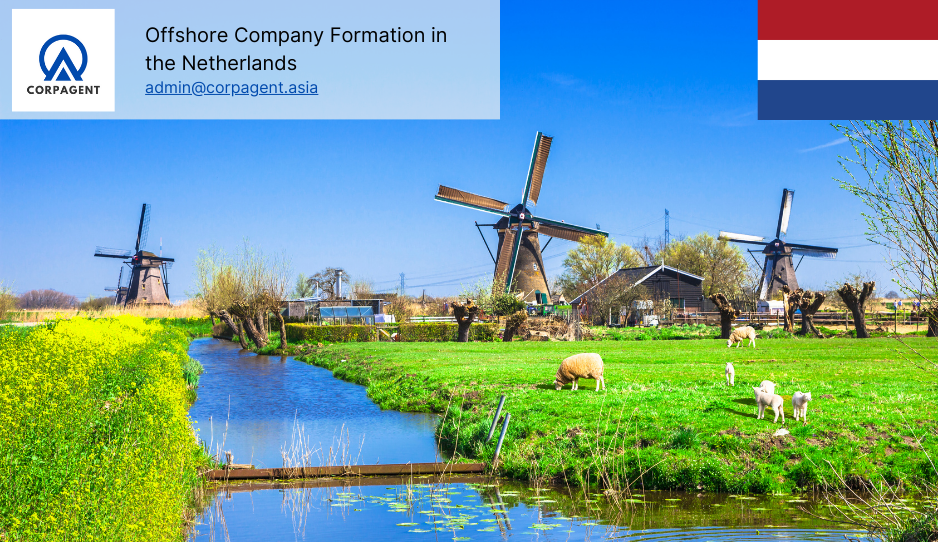 Offshore company formation in Netherlands