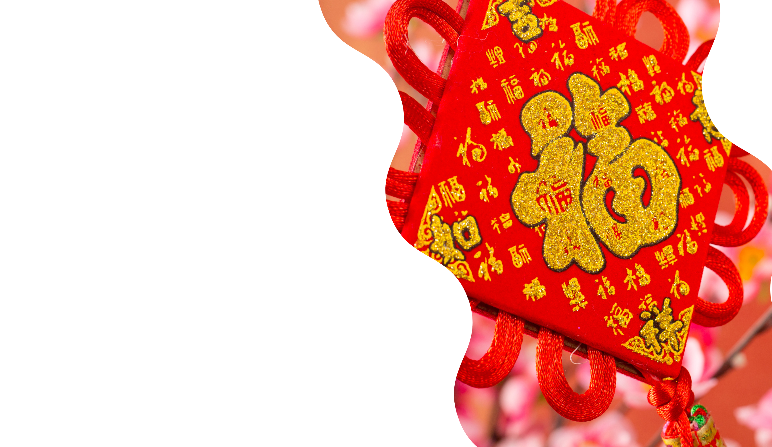 CHINESE NEW YEAR OFFERS FROM CORPAGENT